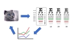 Vision Application (VIZN)