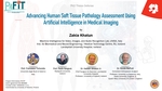 Advancing Human Soft Tissue Pathology Assessment Using Artificial Intelligence in Medical Imaging